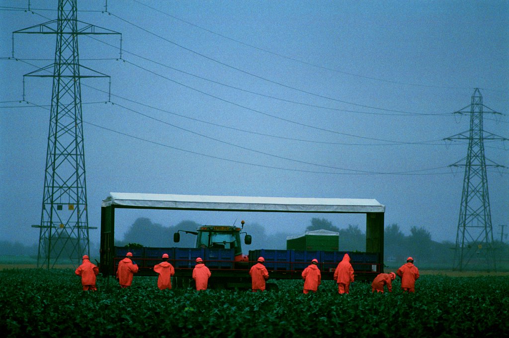 barber-migrant-farm-workers03.jpg